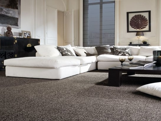 Average Cost For New Carpet Living Room