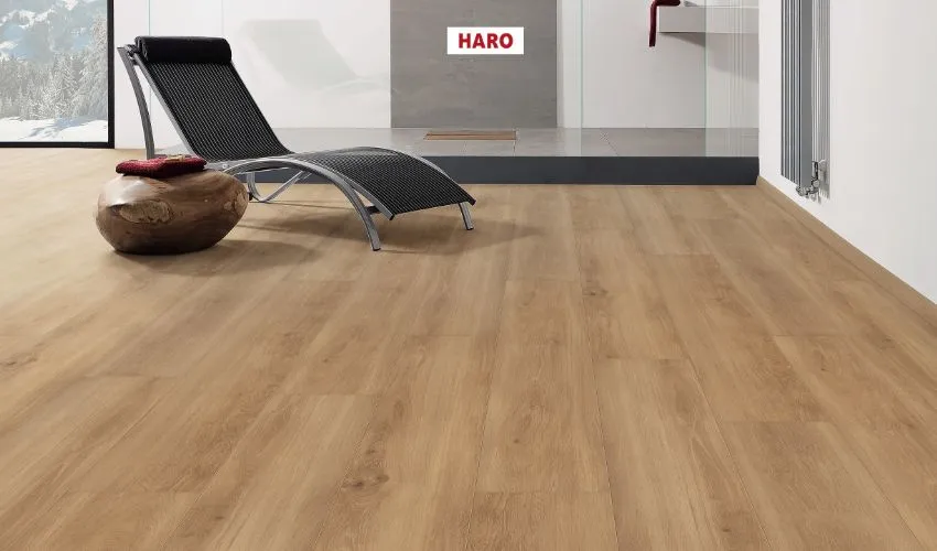 Big Plank Design Going Viral