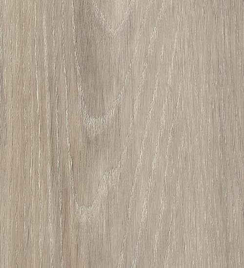 Ashdown Oak