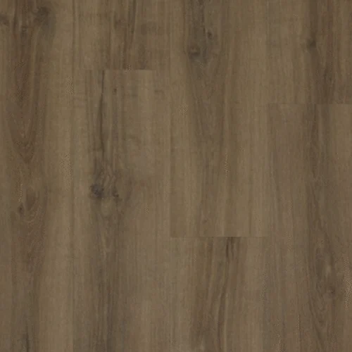 Kiri Rigel Dryback