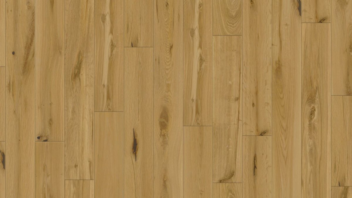 Warmwell Oak Plank