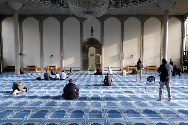 Blue Carpet For Dubai Mosque