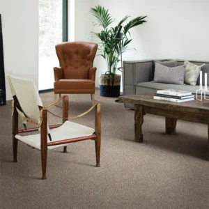Atticus Frisé Solution Dyed Olefin Carpet