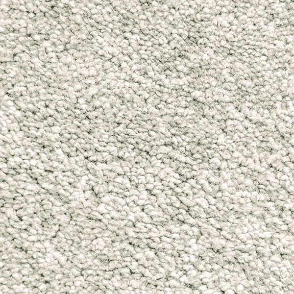 Bulgari Plush Cut Pile Wall-To-Wall Carpet