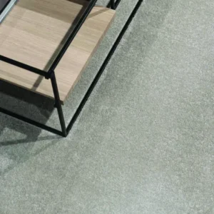 Bulgari Plush Cut Pile Wall To Wall Carpet