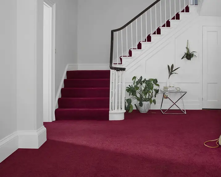 Maroon Wall to wall Carpet