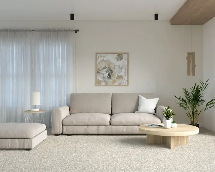 Taupe Wall To Wall Carpet Dubai
