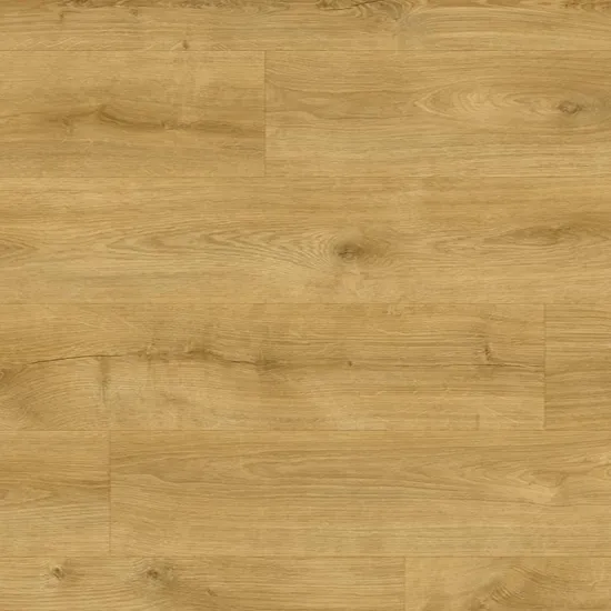 Galway Oak Glue Down LVT Plank Flooring 1